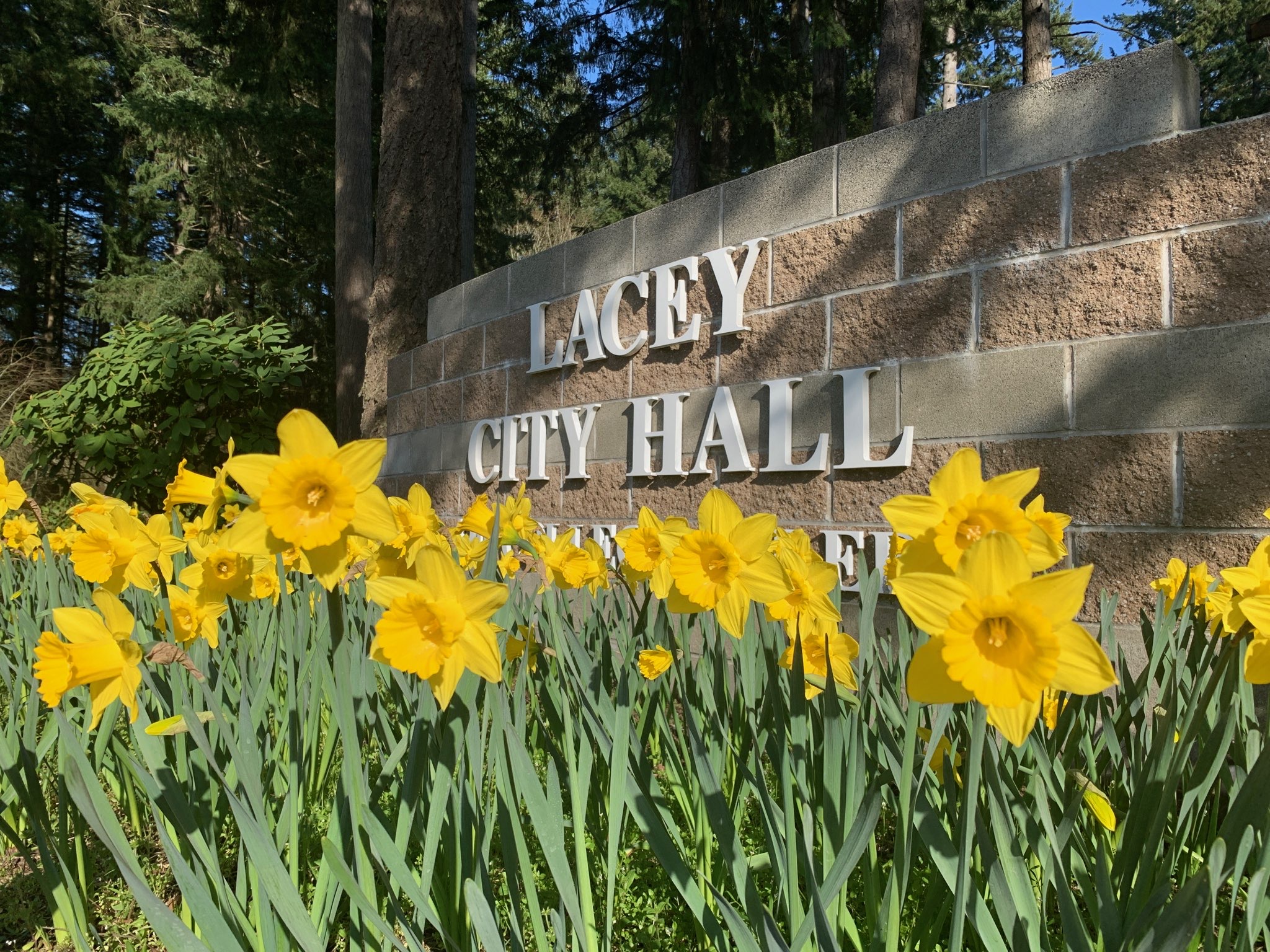 Lacey City Hall
