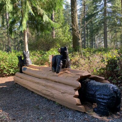 Family of Bears on a Log